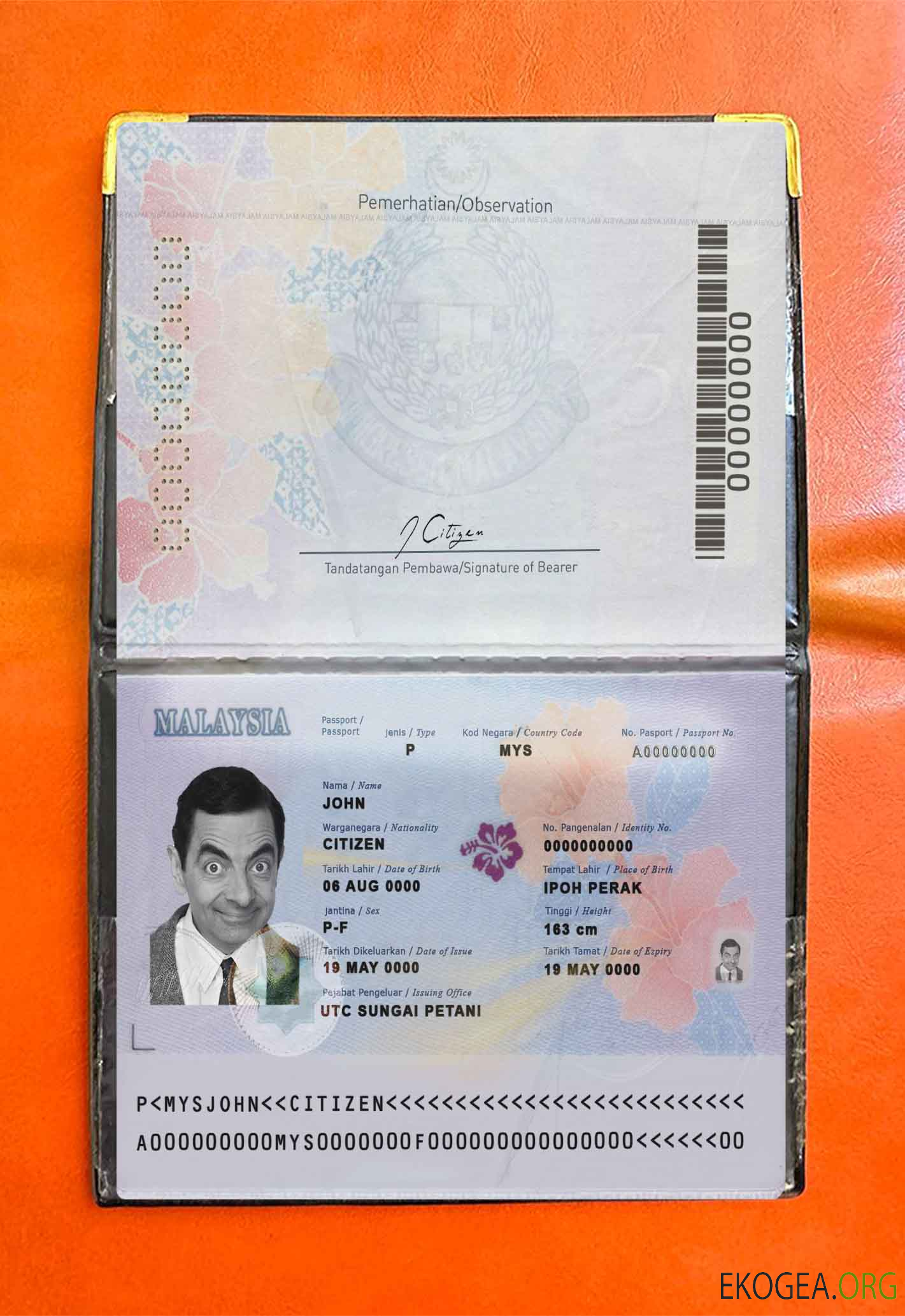 Aperçu de la photo du passeport malaisien (2017 présent)